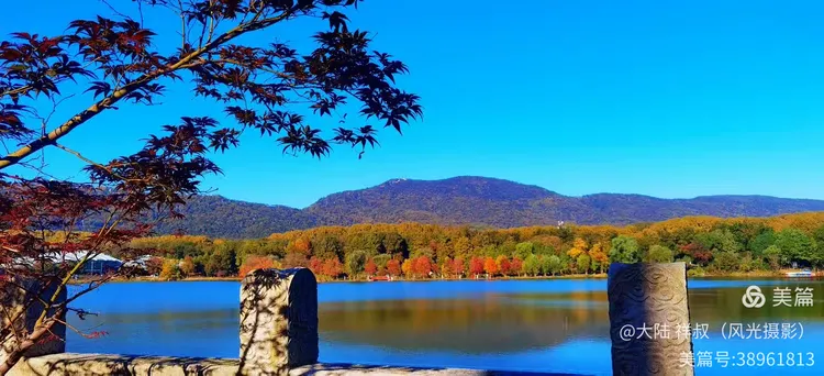 醉美的中山陵前湖秋景